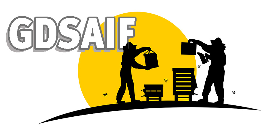 Logo GDSAIF export tdl